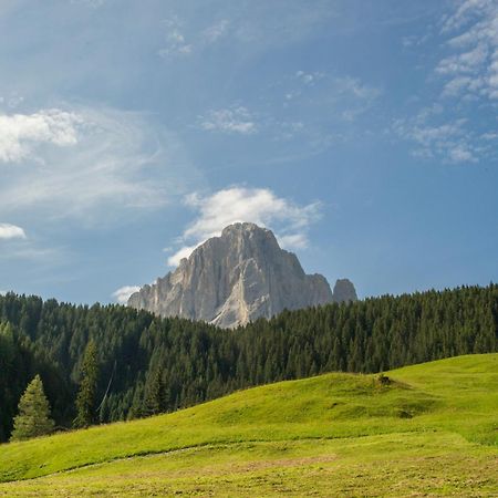 Villa Insam Selva di Val Gardena Exterior foto